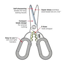 Load image into Gallery viewer, diagram of scissors explaining features