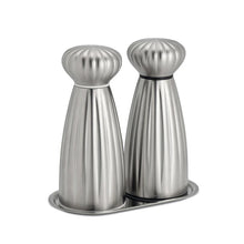 Load image into Gallery viewer, Stainless steel salt and pepper grinders on a matching tray with a white background