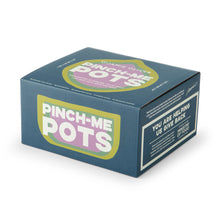 Load image into Gallery viewer, gift box for jamie oliver pinch me pots