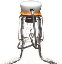 Load image into Gallery viewer, close up of the top of a clear glass flask bottle with a clip top