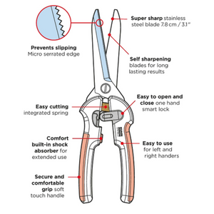 Kitchen Scissors Shears