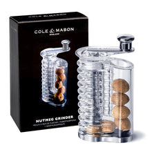 Load image into Gallery viewer, Nutmeg grinder with transparent body and wooden nutmegs, displayed against a white background.
