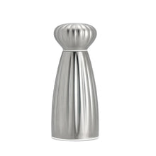 Load image into Gallery viewer, Stainless steel salt grinder on a white background
