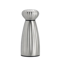 Load image into Gallery viewer, Stainless steel pepper grinder on a white background
