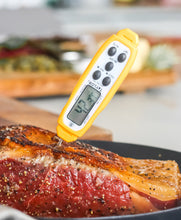 Load image into Gallery viewer, Food probe/thermometer digital
