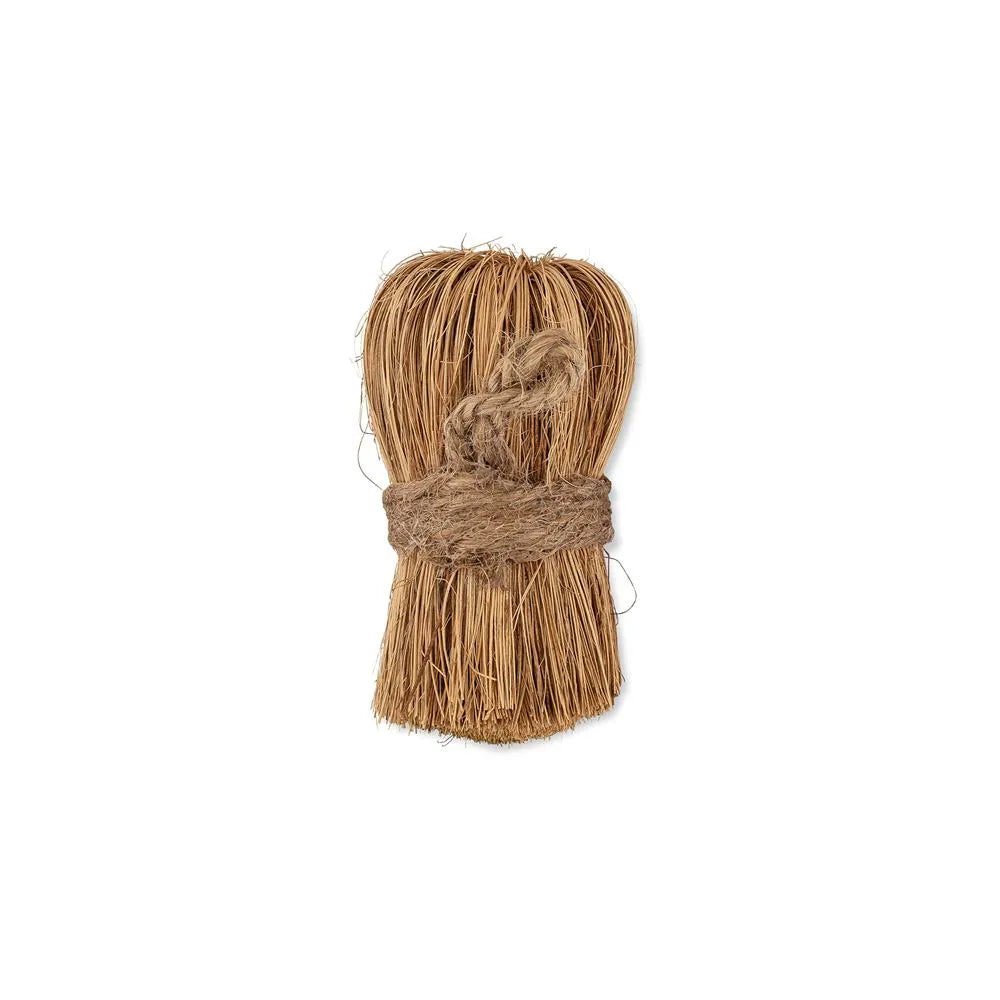 Coconut Scrubby