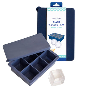 Giant Ice Cube Tray with Lid